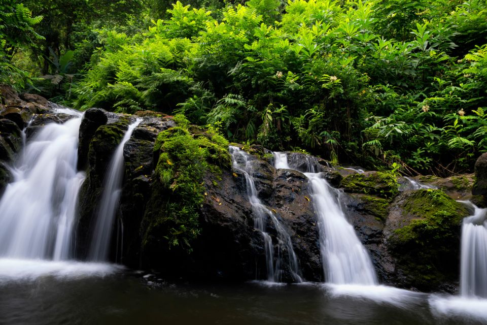 Kahului: Guided Rainforest and Waterfall Walk - Important Information