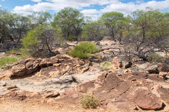 Kalbarri Outback River & Gorges - Ground & Air Tour - Weather Considerations