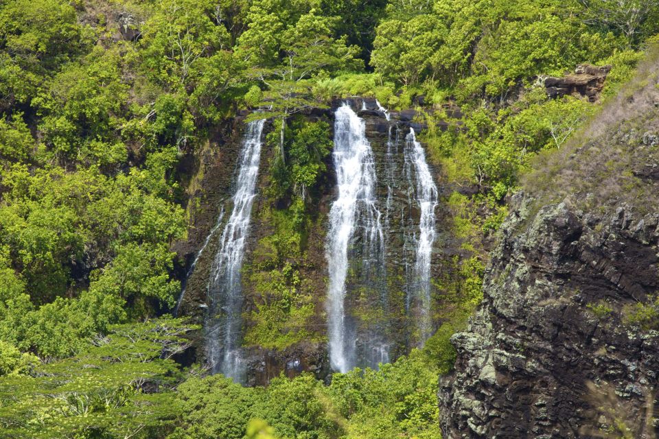 Kauai: Full-Day Tour With Fern Grotto River Cruise - Itineraries and Schedule