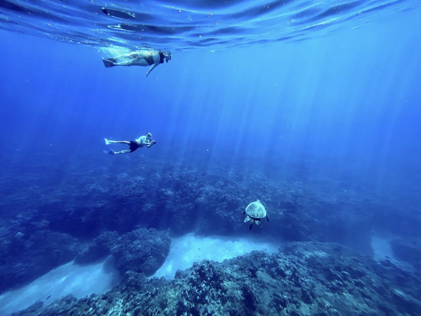 Kayak, Whale Watch And Snorkel At Turtle Town - Meeting Point