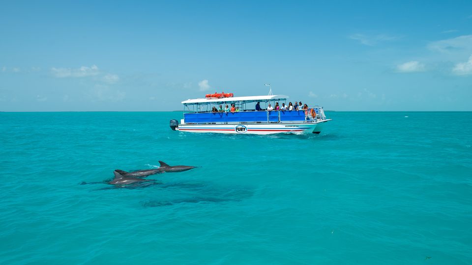Key West: Search for Dolphins on a Cruise With Snorkeling - Customer Reviews