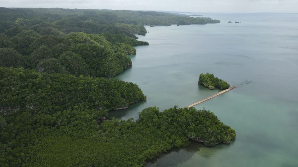 Las Terrenas: Los Haitises Boat and Walking Tour With Lunch - Inclusions