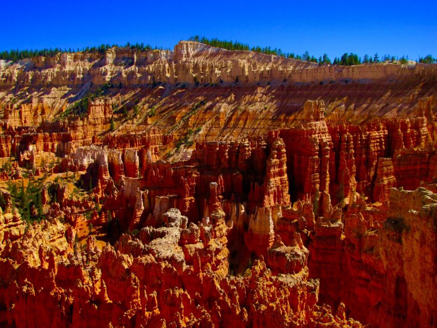 Las Vegas: Discover Bryce and Zion National Parks With Lunch - Important Information