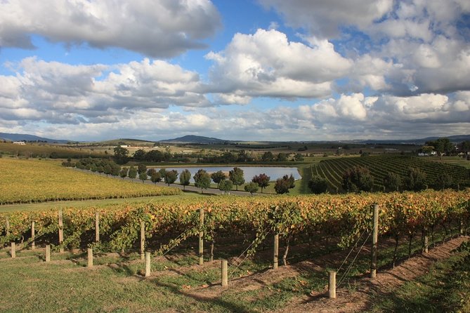 LGBTQ Friendly Full Day Yarra Valley & Dandenong Ranges Private Tour - Booking Information