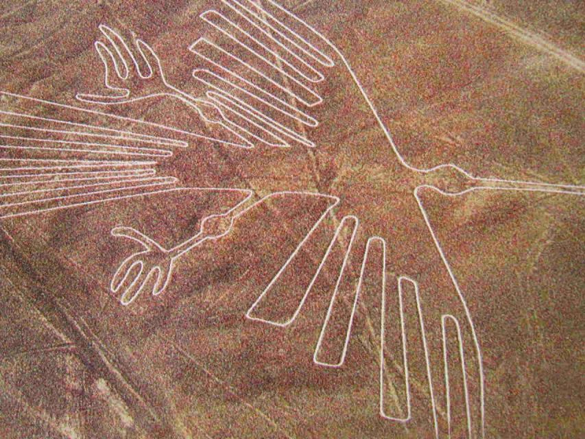 Lima: Nazca Lines, Winery and Huacachina Oasis Private Tour - Important Information