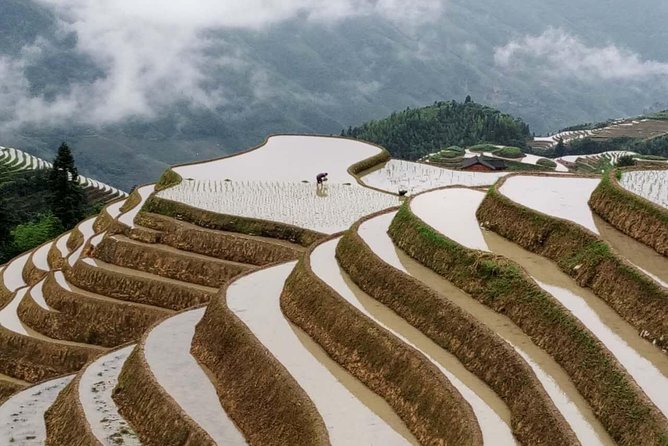 Longji Rice Terraces and Minority Village Day Tour - Traveler Photos