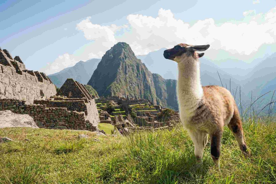 Machu Picchu and Machu Picchu Mountain 1-day | Private Tour| - Exclusions