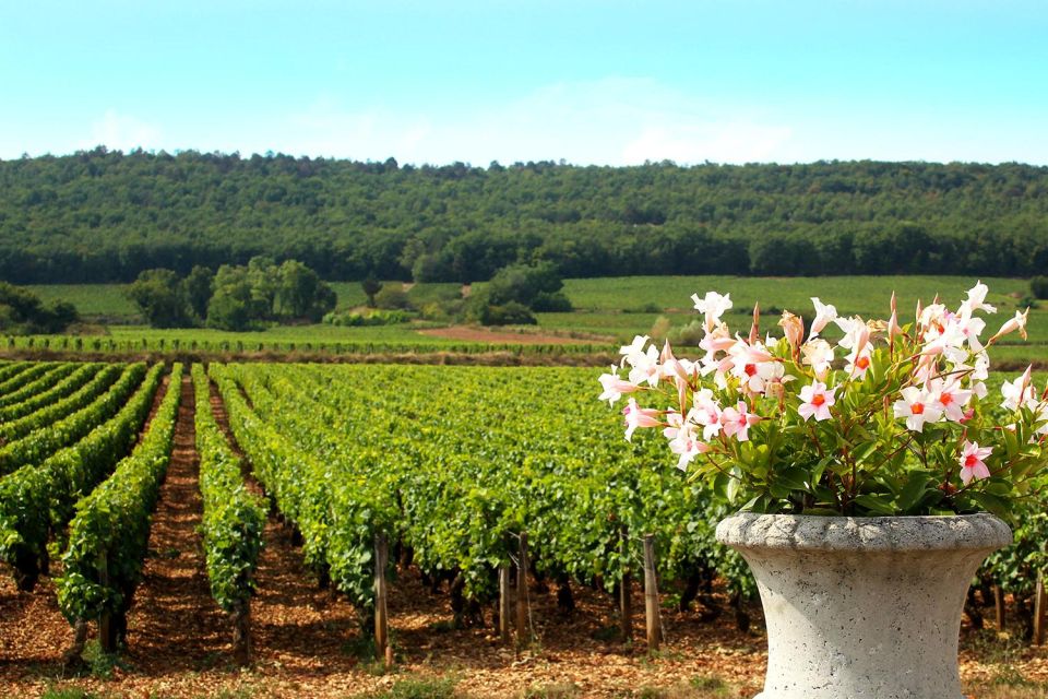 Marne: 2-Day Champagne Tour With Tastings and Lunches - Booking