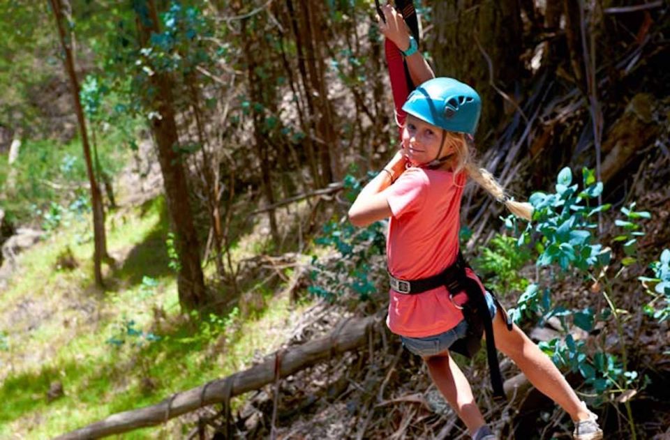 Maui: Haleakala 5-Line Zipline Adventure - Suitability and Requirements