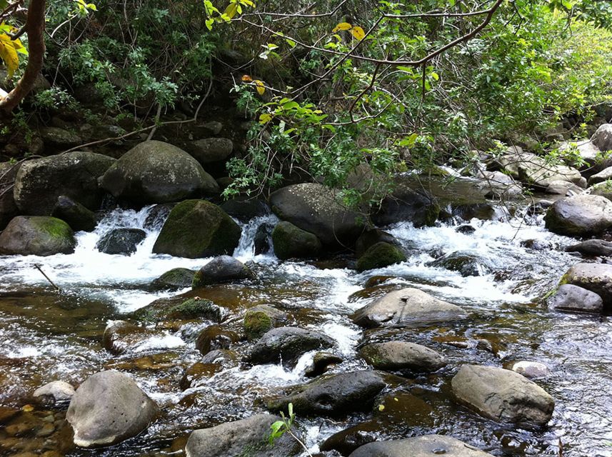 Maui: Haleakala and Iao Valley Tour - Directions and Tips