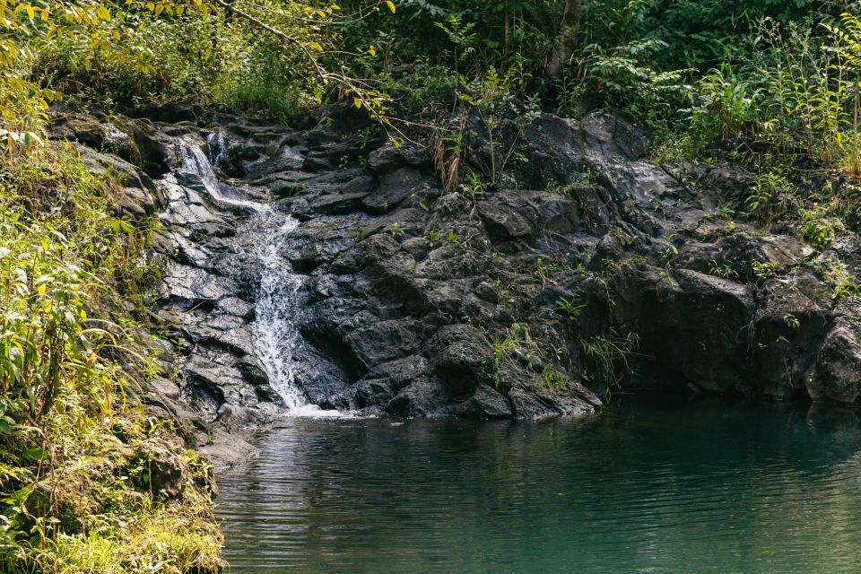 Maui: Hike to the Rainforest Waterfalls With a Picnic Lunch - Detailed Description