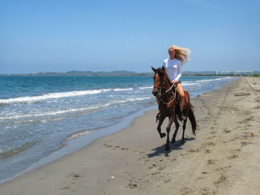 Miami: Beach Horse Ride & Nature Trail - Directions