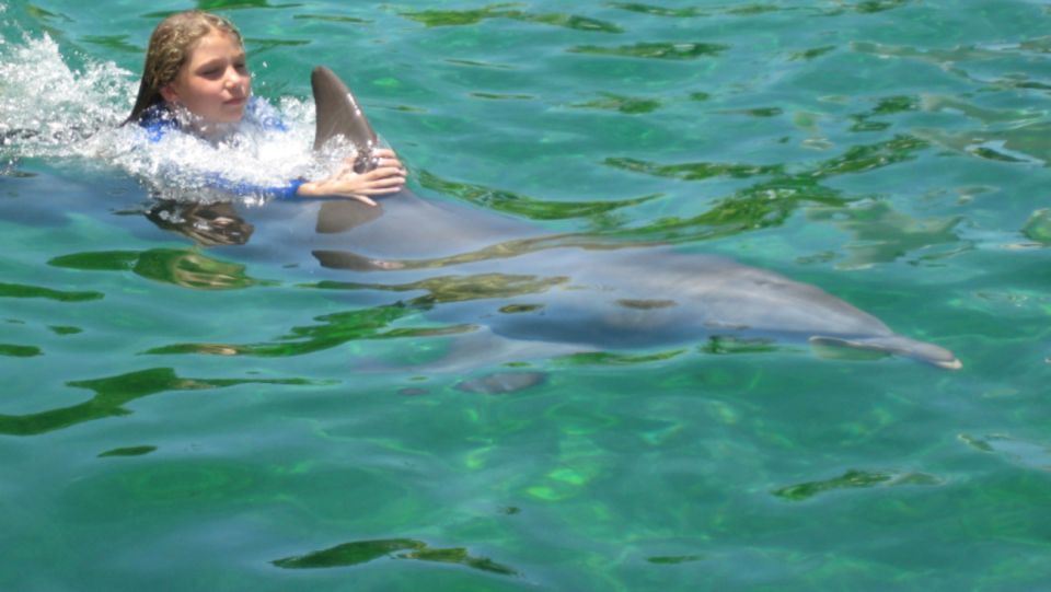Miami: Swim With Dolphins Experience With Seaquarium Entry - Customer Reviews