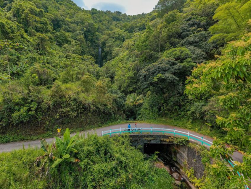 Montego Bay: Blue Mountain Private Bicycle Tour - Sum Up