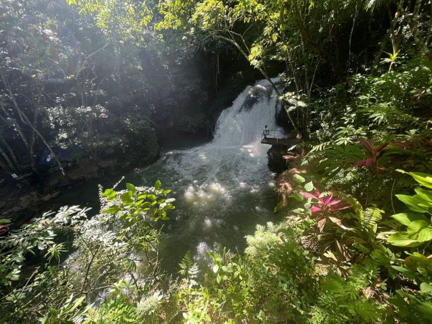 Montego Bay: Secret Falls And River Rapids Adventure - Customer Reviews