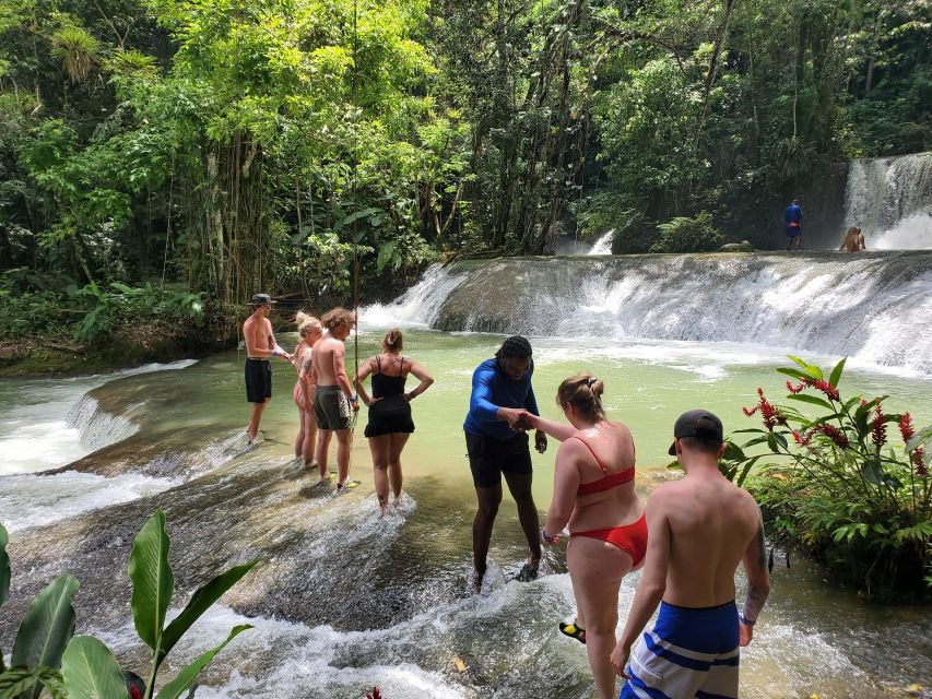 Montego Bay: YS Falls and Appleton Rum Private Tour by Van - Requirements