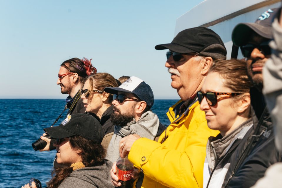 Monterey Bay: Whale Watching Tour - Important Information