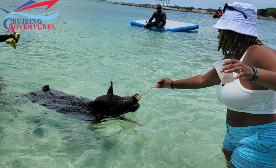 Nassau: Self-Drive Speedboat Ride and Pig Swimming Encounter - Experience Highlights