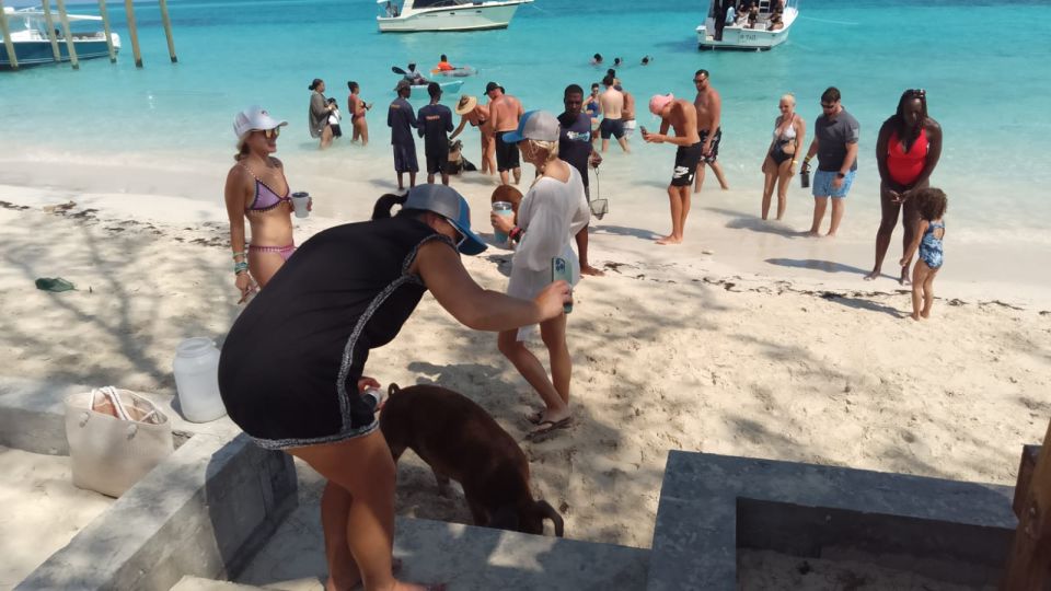 Nassau: Swimming With Pigs, Snorkeling, and Sightseeing Tour - Meeting Point