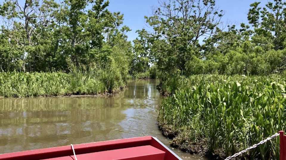 New Orleans: 10 Passenger Airboat Swamp Tour - Wildlife and Flora Exploration