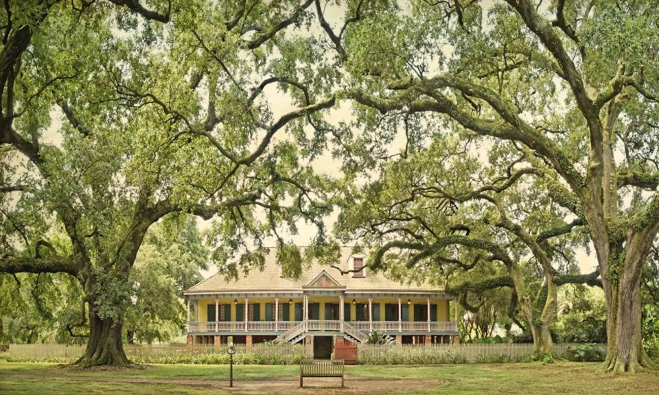 New Orleans: Oak Alley or Laura Plantation & Airboat Tour - Customer Reviews