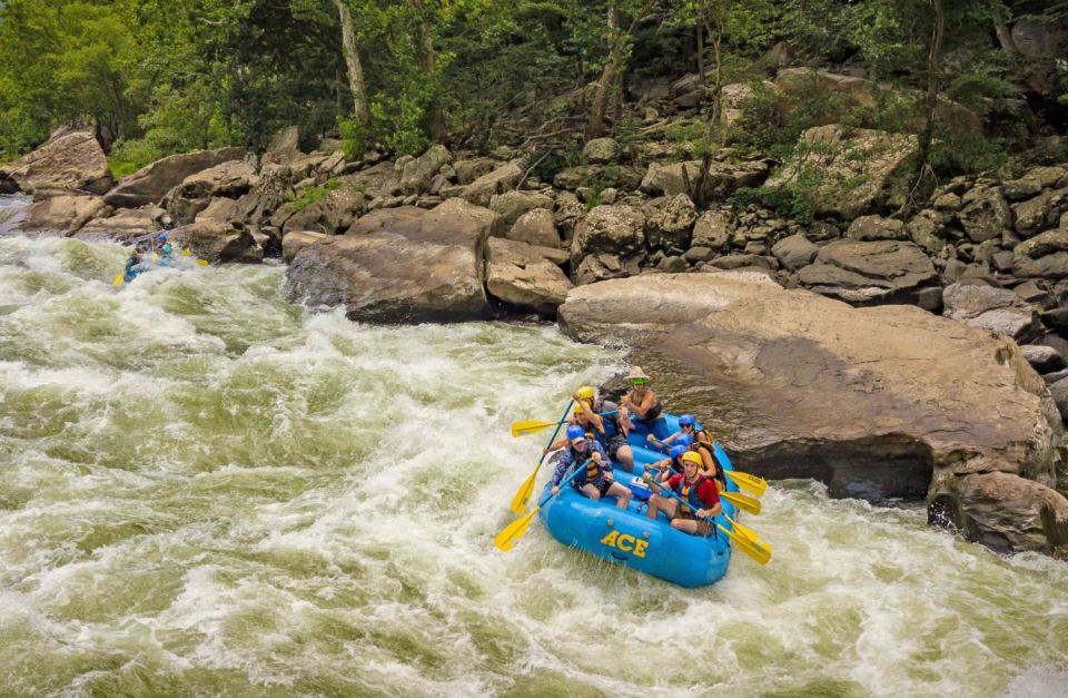 New River Gorge Whitewater Rafting - Lower New Full Day - Pricing Details