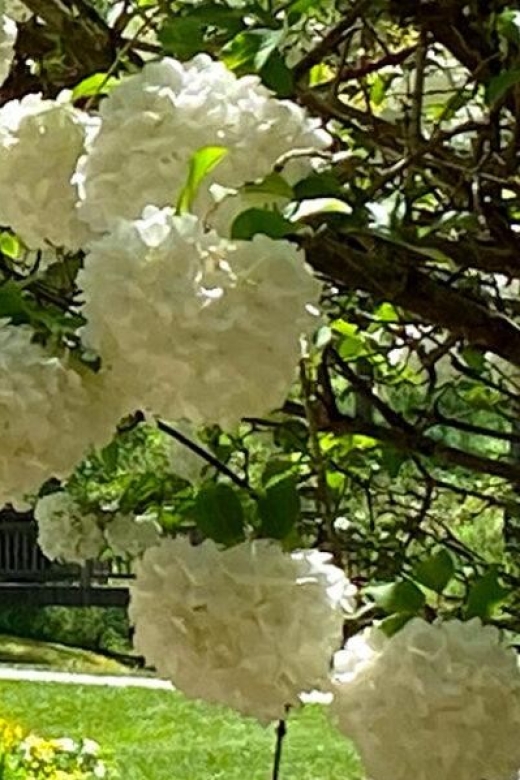 North Atlanta: Gibbs Gardens Self-Guided Slingshot Tour - Booking Details
