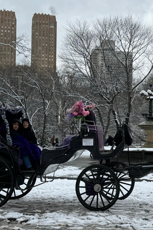NYC Empire State Horse Carriage Rides (Central Park Tour) - Customer Reviews