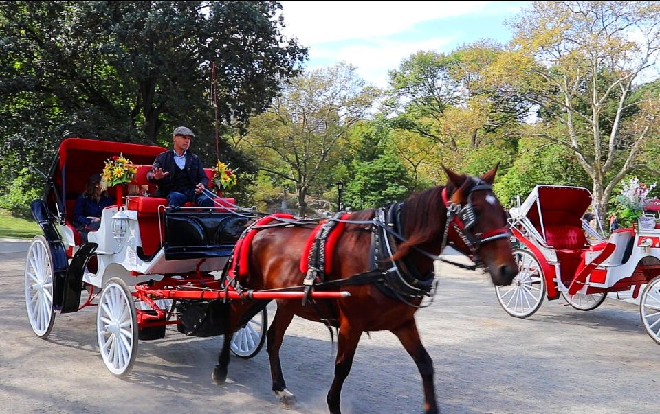 NYC: Guided Standard Central Park Carriage Ride (4 Adults) - Location and Visitor Feedback