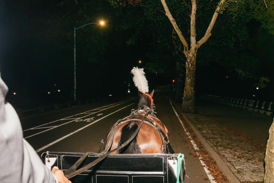 NYC MOONLIGHT HORSE CARRIAGE RIDE Through Central Park - Common questions