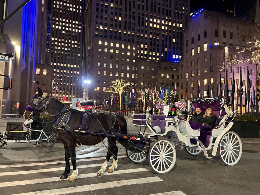 NYC: Private Central Park Horse Carriage Ride With Guide - Skip the Line Access