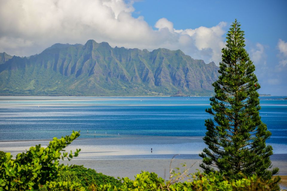 Oahu: 10-Hour Sunrise & Scenic View Points Photo Tour - Common questions