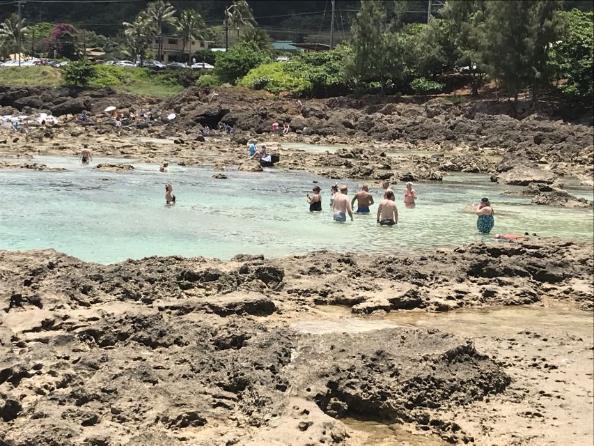Oahu: Manoa Falls Hike and East Side Beach Day - Important Information