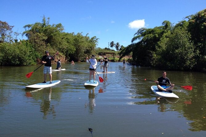 Oahu North Shore Small-Group Stand-Up Paddleboard Turtle Tour - Cancellation Policies