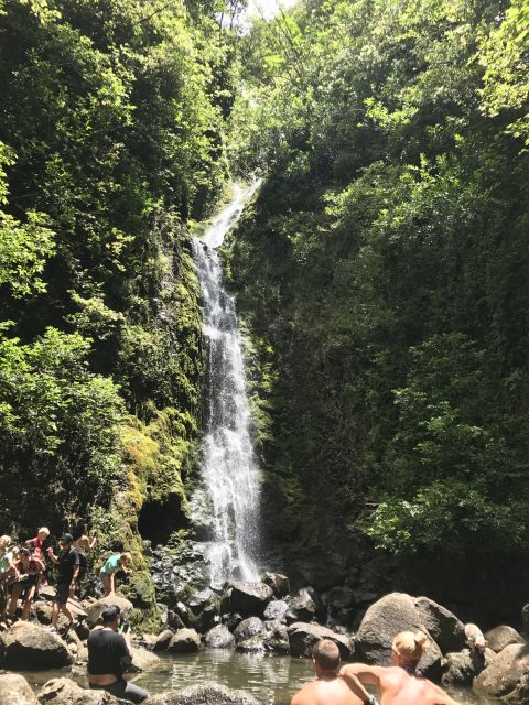 Oahu: Private Island Tour - Customer Reviews
