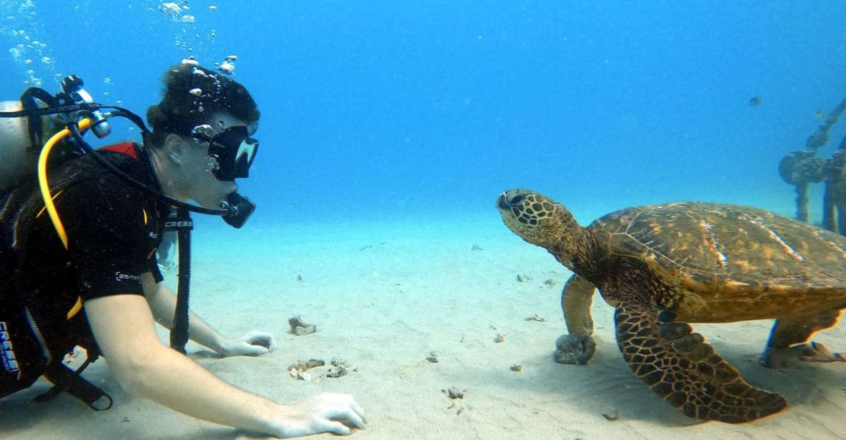 Oahu: Scuba Diving Lesson for Beginners - Location and Provider Details