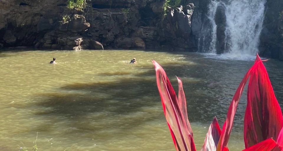 Oahu: Valley of Waimea Falls Swim & Hike With Lunch & Dole - Customer Reviews and Ratings