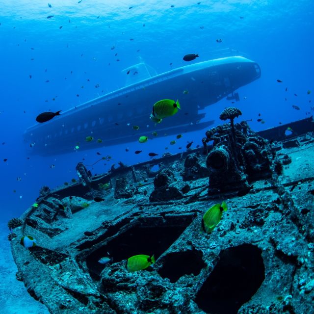 Oahu: Waikiki Submarine Tour - Customer Reviews