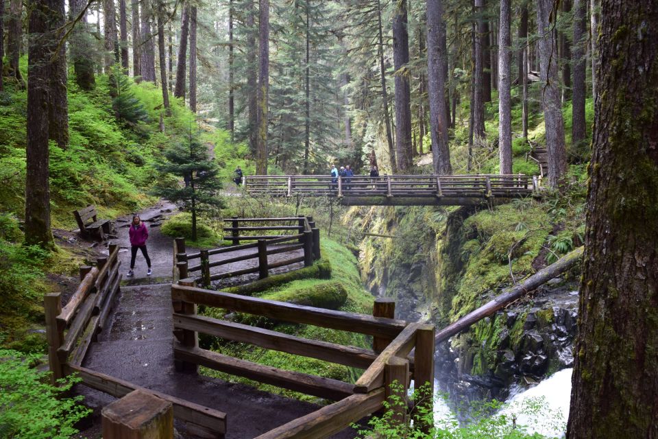 Olympic National Park: Sol Duc and Hurricane Ridge Tour - Reservation Information