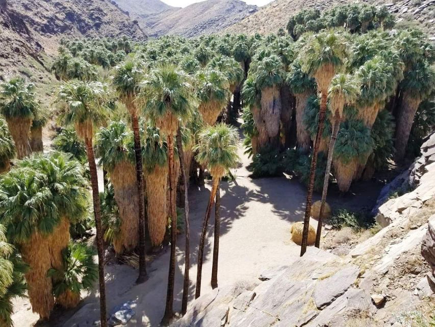 Palm Springs: Indian Canyons Hiking Tour by Jeep - Important Information