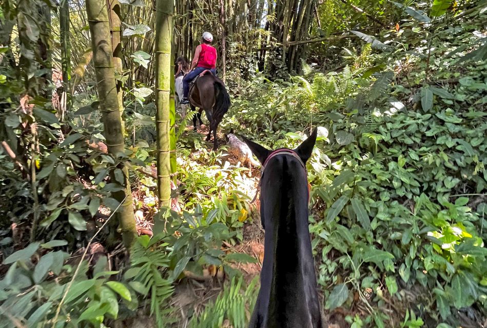 Paraty: 3-Hour Rainforest Horseback Ride - Key Information
