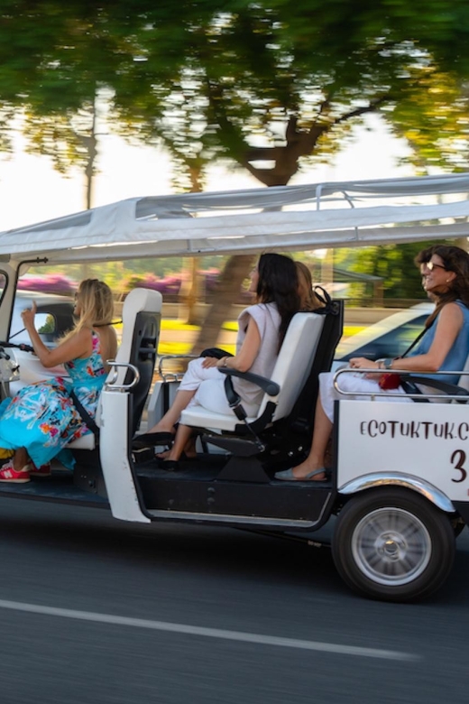 Paris: City Tour by Private Eco Tuk-Tuk - Key Points