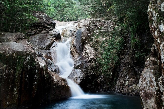 Platypus & Waterfalls Full Day All Inclusive(Not Cruise Friendly) - Availability Details for the Tour