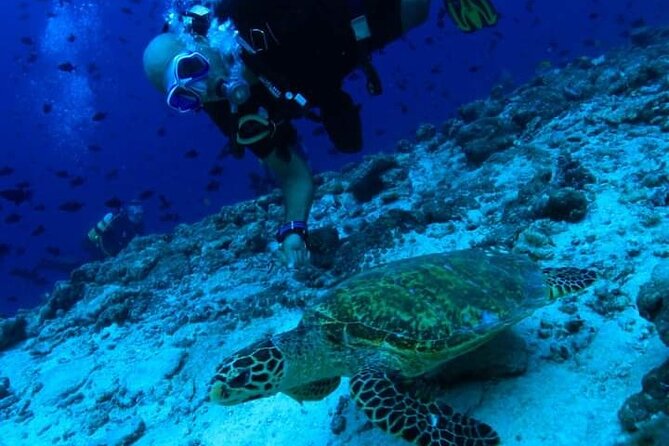 Pool Scuba Lesson and Shore Dive in Maui - Booking Confirmation
