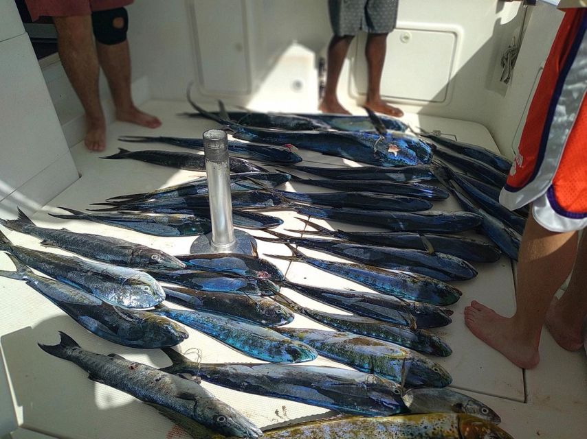 Private Fishing Charters Gone Dog 37 Boat Offshore Trip - Fishing Equipment and Species