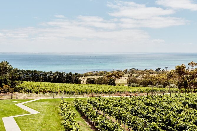 Private Helicopter Winery Lunch at Jack Rabbit on the Bellarine - Gourmet Winery Lunch