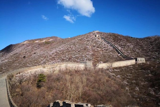 Private Layover Tour to Mutianyu Great Wall and Forbidden City - Historical and Culinary Experience