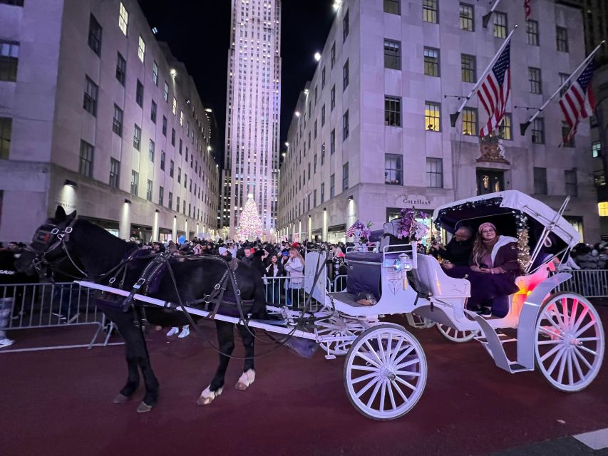 Private NYC Lights or Christmas Lights Horse Carriage Tour - Customer Reviews