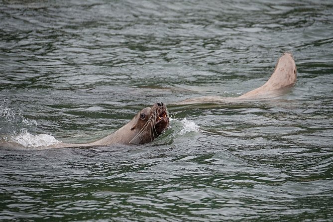 Private Photography Tour to Haines - Skagway Departure - Additional Information