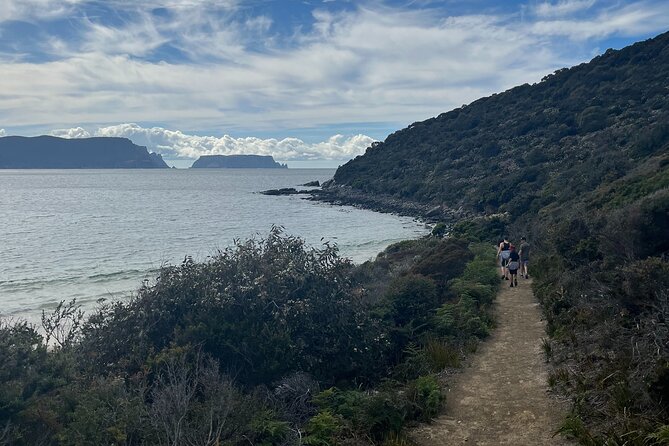 Private Tasman Peninsula Walking Tour - Tour Overview